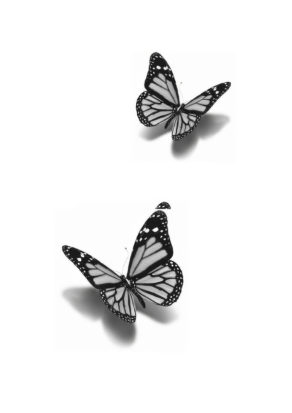 hinh_xam_buom_3d_dep_14