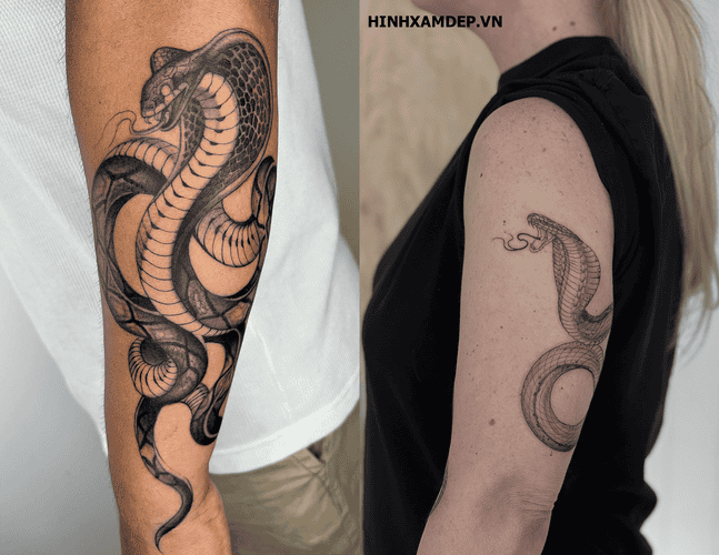 hinh-xam-ran-ho-mang_10