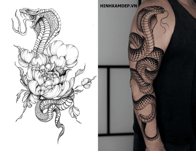 hinh-xam-ran-ho-mang_15