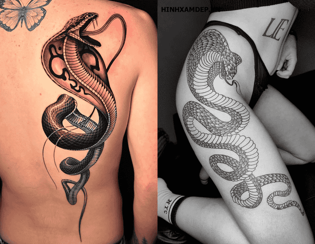hinh-xam-ran-ho-mang_17
