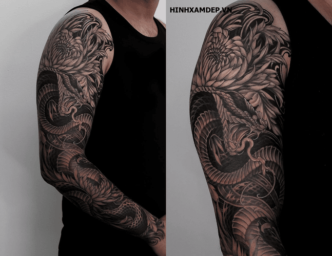 hinh-xam-ran-ho-mang_19