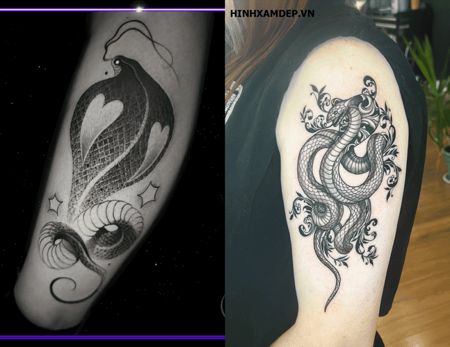 hinh-xam-ran-ho-mang_24