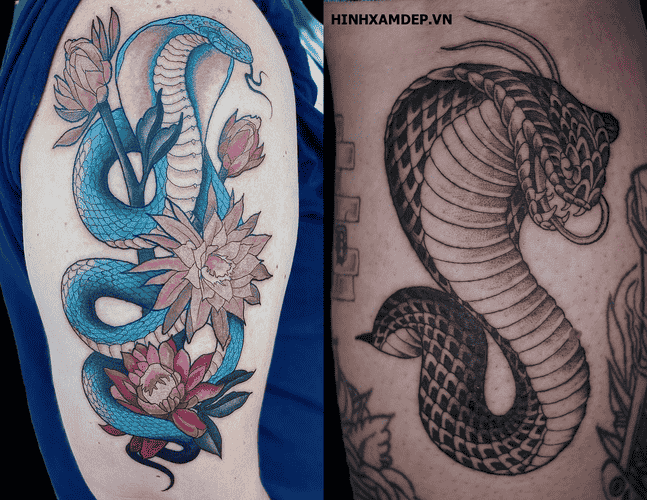 hinh-xam-ran-ho-mang_29