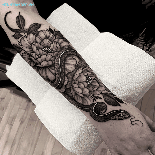 hinh-xam-ran-va-hoa-mau-don_1