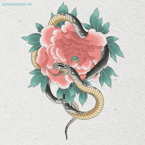 hinh-xam-ran-va-hoa-mau-don_10