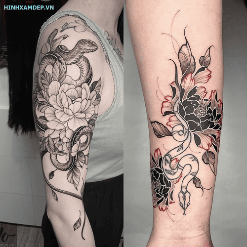 hinh-xam-ran-va-hoa-mau-don_13