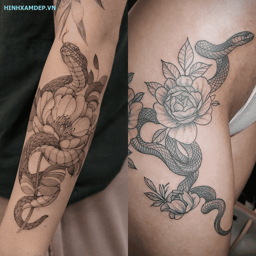 hinh-xam-ran-va-hoa-mau-don_20