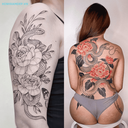 hinh-xam-ran-va-hoa-mau-don_24