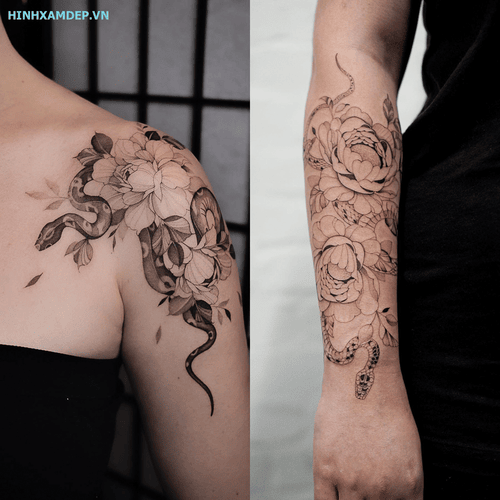 hinh-xam-ran-va-hoa-mau-don_28