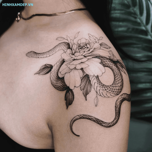 hinh-xam-ran-va-hoa-mau-don_3