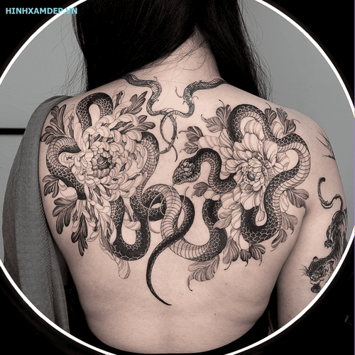 hinh-xam-ran-va-hoa-mau-don_5
