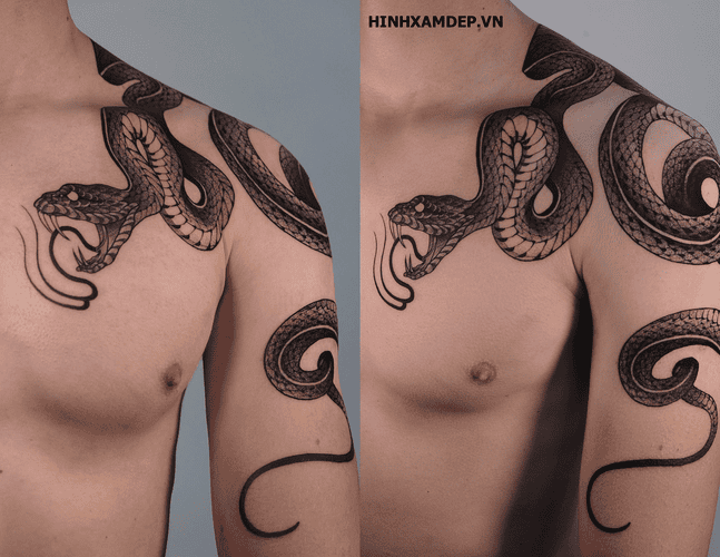 hinh-xam-ran-vat-vai_2