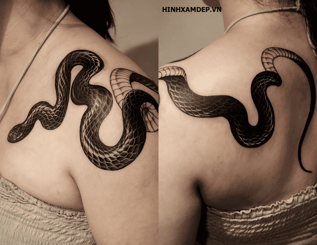 hinh-xam-ran-vat-vai_3