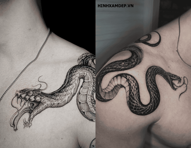 hinh-xam-ran-vat-vai_8