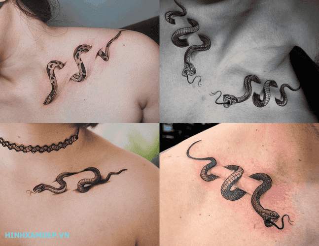 hinh-xam-ran-xuong-quai-xanh_12