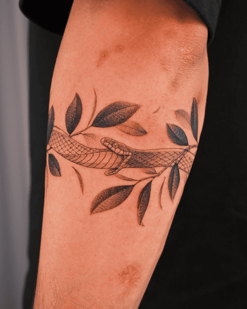 tong-hop-hinh-xam-ran_12