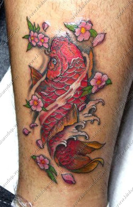 Xăm tattoo cá chép bắp chân:
Hình ảnh này là sự kết hợp độc đáo của hình xăm cá chép và bắp chân, mang lại một diện mạo hoàn toàn mới cho bạn. Nếu bạn muốn tạo một phong cách táo bạo, hãy xem thêm hình ảnh này để lấy cảm hứng.