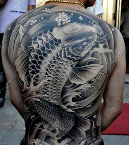 Hình Xăm Cá Chép Tattoo Ở Lưng Đẹp