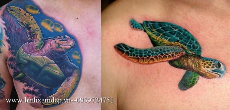 Hình xăm phượng hoàn tay qua ngực    Rùa Tatto Studio  Facebook