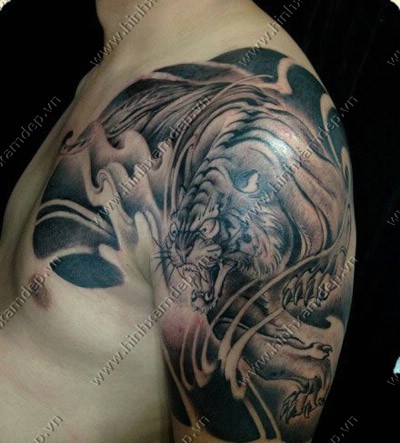 Tattoo hình xăm hổ ở ngực ra tay