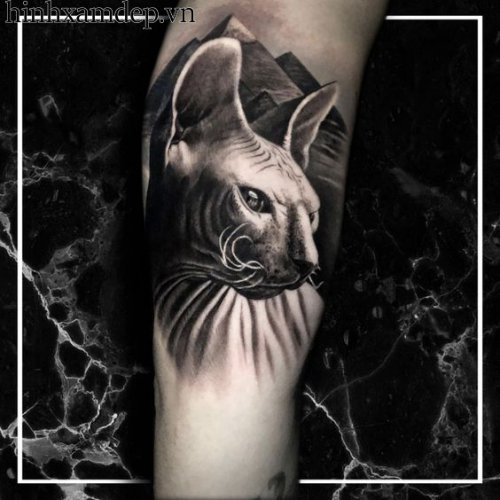 TOP 21 hình xăm mèo đen thần bí và ý nghĩa sâu sắc bên trong  Kitty  tattoos Hình xăm ngầu Hình xăm mực