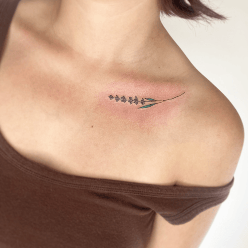 Xăm hình hoa oải hương ở ngực cho nữ mini: Mang lại cảm giác bình yên, thư thái