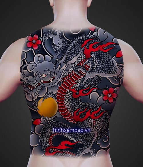 hinh_xam_rong_full_kin_lung_nhat_co_8