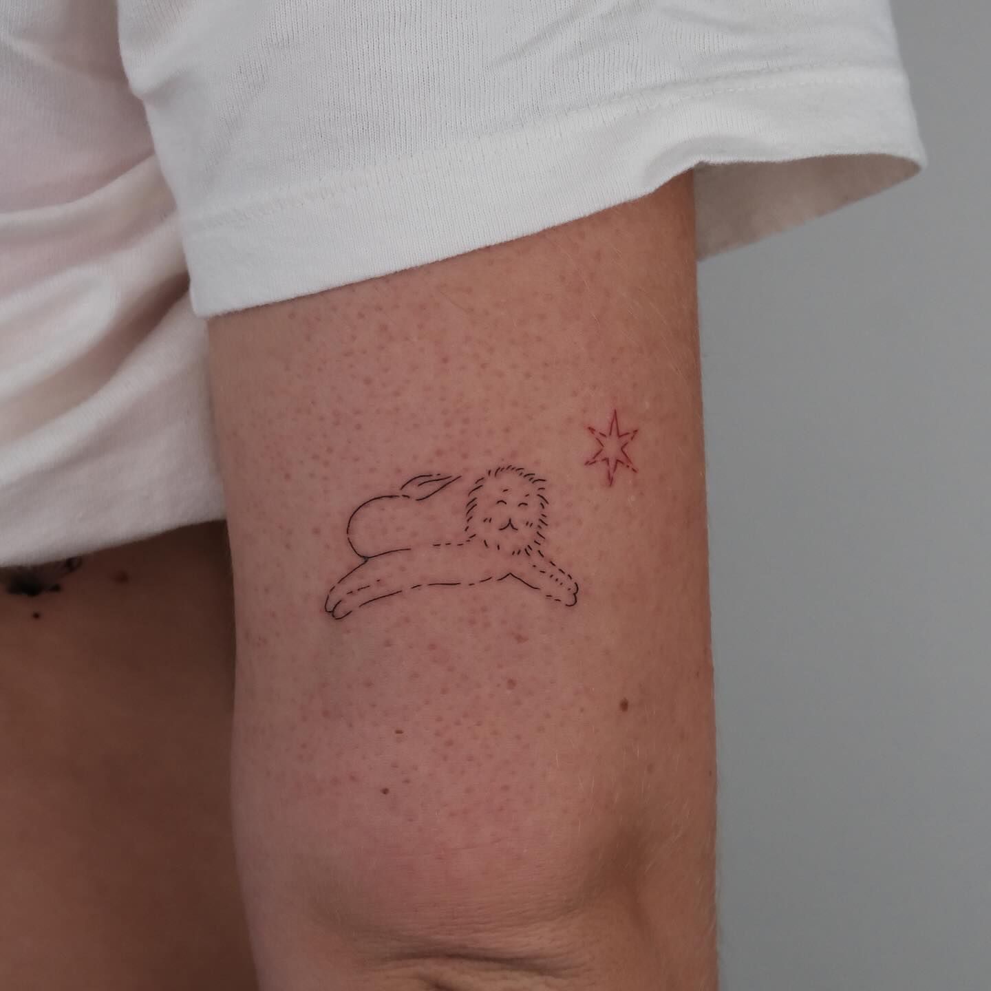 hinh_xam_su_tu_doodle_mini