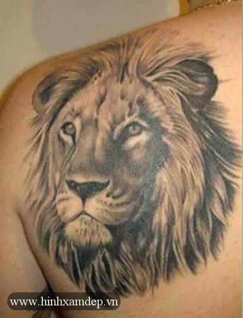 Hình xăm đầu sư tử: Khám phá vẻ đẹp tuyệt vời của hình xăm đầu sư tử trong năm