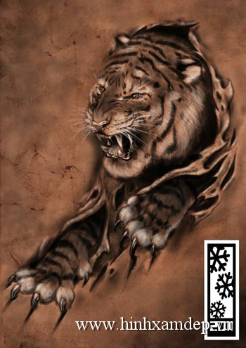 xăm hình nghệ thuật con hổ 3d.