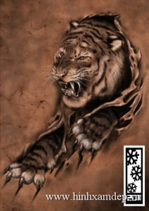 Xăm hình nghệ thuật con hổ 3d.
