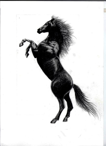 Hình Xăm Con Ngựa (44)
