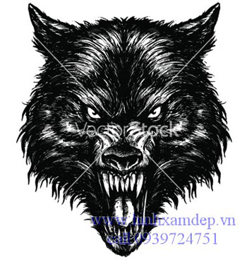Hình xăm chó sói (7)