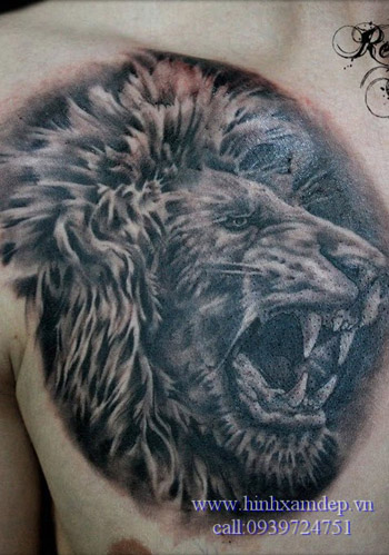 Hình xăm sư tử ở  Minh Tú Tattoo  Xăm Hình Nghệ Thuật  Facebook