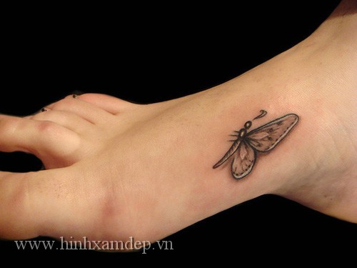 22-hinh-xam-de-thuong-Small-butterfly-tattoo