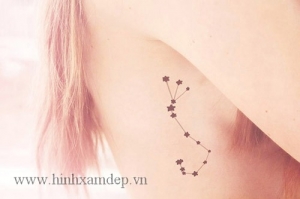 32-hinh-xam-de-thuong-Small-constellation-tattoo