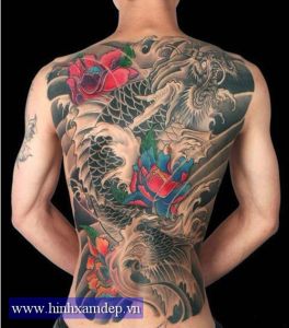 Tuyển Chọn Hình Xăm Cá Chép Hóa Rồng Full Lưng Đẹp Nhất