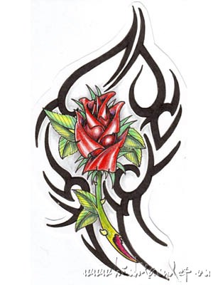 hình xăm hoa vắn hoa hồng   09