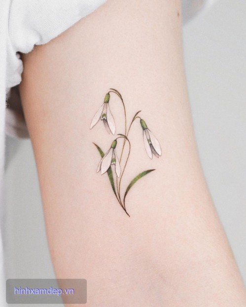 Sắc màu và họa tiết của mini tattoo năm 2024 sẽ đem lại sự mới mẻ và độc đáo cho người đeo. Hãy cùng khám phá những kiểu hình độc đáo và nổi bật trong hình ảnh mini tattoo 2024!