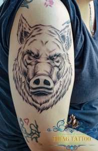 hinh xam heo rung o bap tay