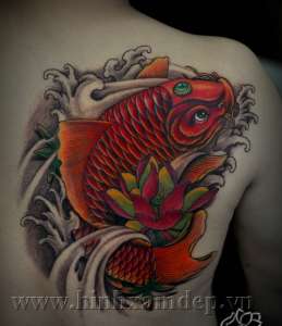 Ý Nghĩa Hình Xăm Cá Chép: Giải Mã Màu Sắc May Mắn & Bí Ẩn Phong Thủy