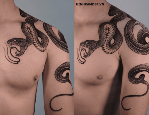 Cẩm Nang Chọn Hình Xăm Rắn Vắt Vai Phù Hợp Với Cá Tính