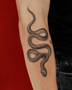 Hình Xăm Rắn Tổng Hợp Những Mẫu Đẹp Nhất 2025