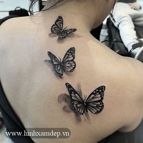 Hình Xăm Bướm - Tổng hợp 50+ Mẫu siêu đẹp Cho Nữ và Nam